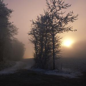 日本肉体裸交❌❌❌
